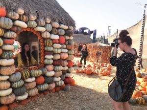 Woman taking a photo of another woman at a pumpkin patch surrounded by different colored pumpkins and hay